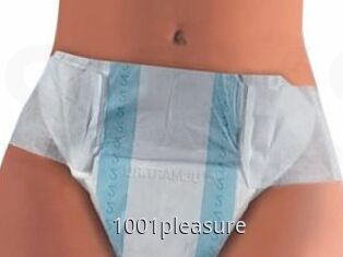 1001pleasure