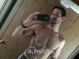 ALPHADOG