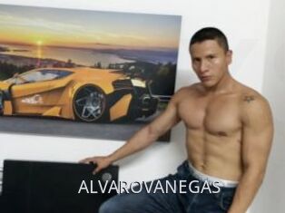 ALVAROVANEGAS