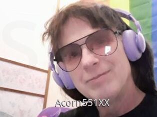 Acorn551XX