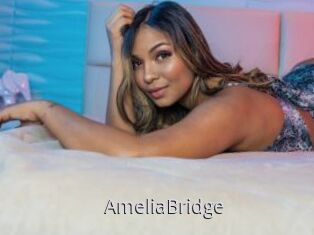 AmeliaBridge