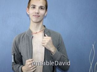 AmiableDavid