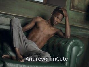 AndrewSlimCute
