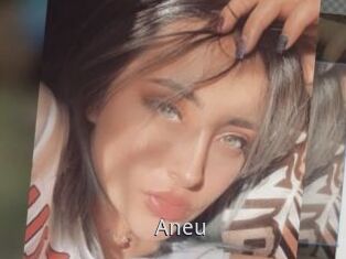 Aneu