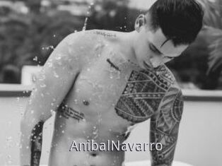 AnibalNavarro