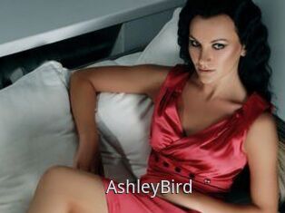 AshleyBird