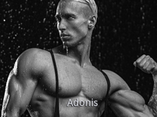 Adonis