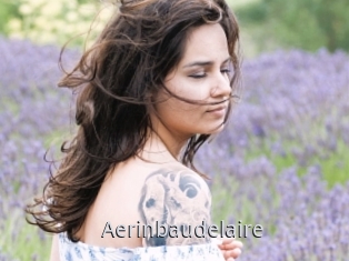 Aerinbaudelaire