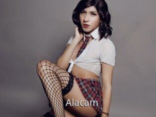 Alacam