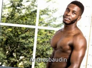 Andresbaudin