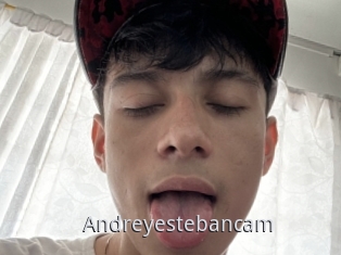 Andreyestebancam
