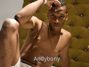 Andybony