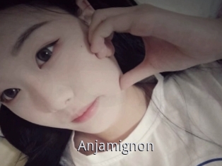 Anjamignon