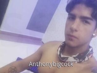 Anthonybigcock
