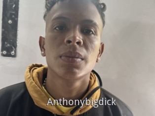 Anthonybigdick