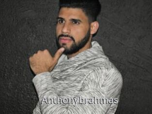Anthonybrahmas