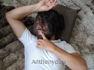 Anthonyding