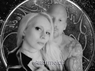 Antnmeich
