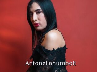 Antonellahumbolt