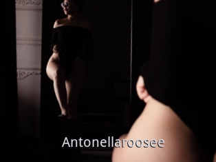 Antonellaroosee