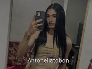 Antonellatobon
