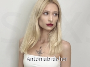 Antoniabracher