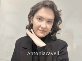 Antoniacavell