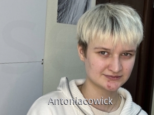 Antoniacowick