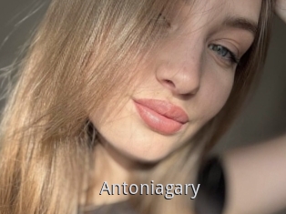Antoniagary