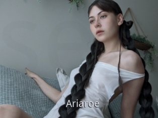 Ariaroe