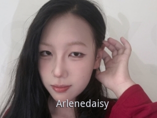 Arlenedaisy