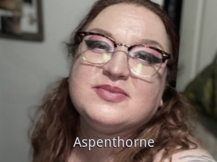 Aspenthorne