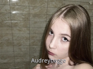 Audreybagge