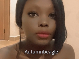 Autumnbeagle