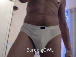 BarepigOWL