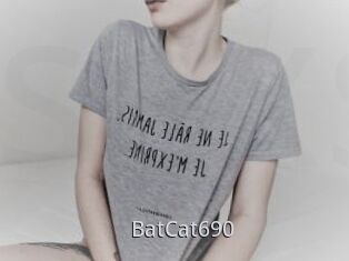BatCat690
