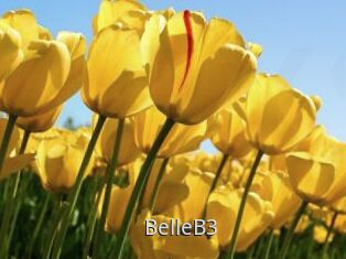 BelleB3