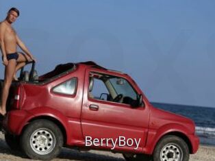 BerryBoy
