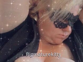 Bigmaturekitty