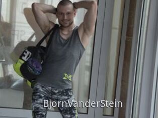BjornVanderStein