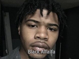 Black_Alfalfa