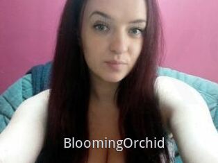 BloomingOrchid