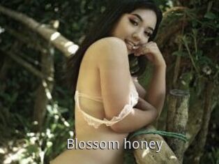 Blossom_honey