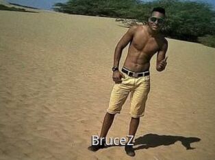 BruceZ
