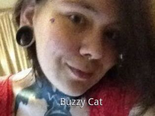 Buzzy_Cat