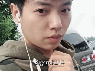 Bigcock214