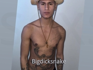 Bigdicksnake
