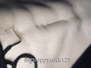 Bigsloppycock125