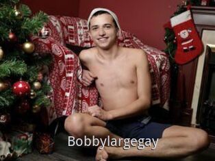 Bobbylargegay