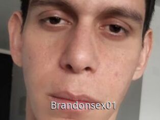 Brandonsex01